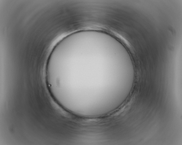 X0000115651471200911101106