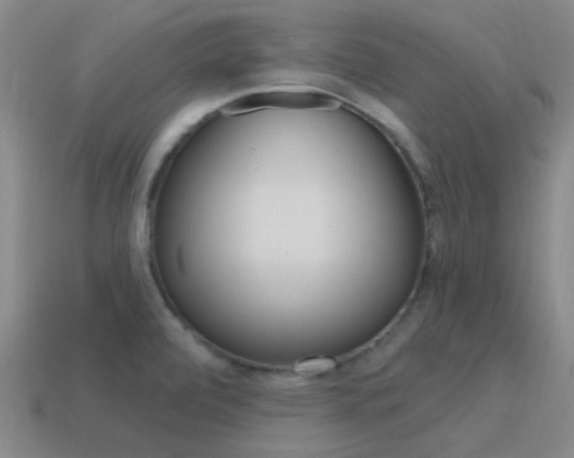 X0000115651472200911101106