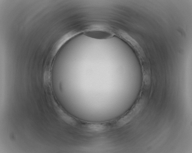 X0000115651473200911101106