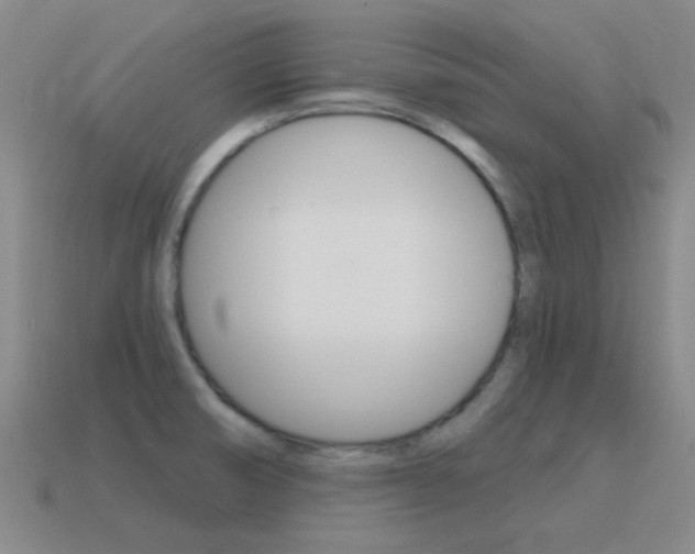 X0000115651474200911101106