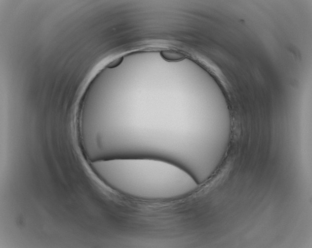 X0000115651475200911101106