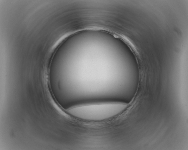 X0000115651476200911101106