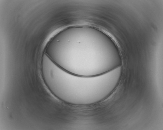 X0000115651477200911101106