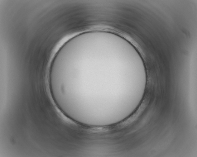 X0000115651478200911101106