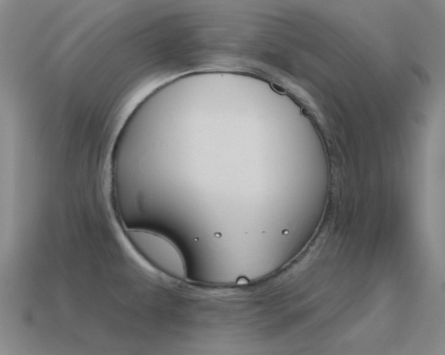X0000115651479200911101106
