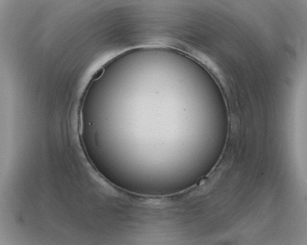 X0000115651480200911101106