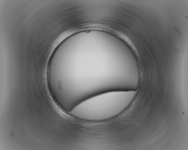 X0000115651482200911101106