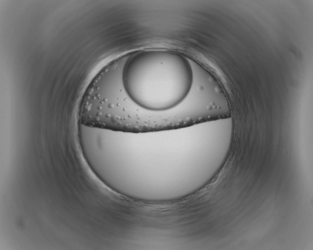 X0000115651483200911101106