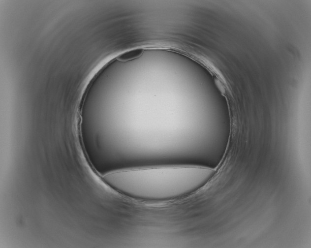 X0000115651484200911101106