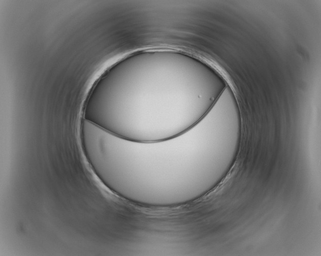 X0000115651485200911101106