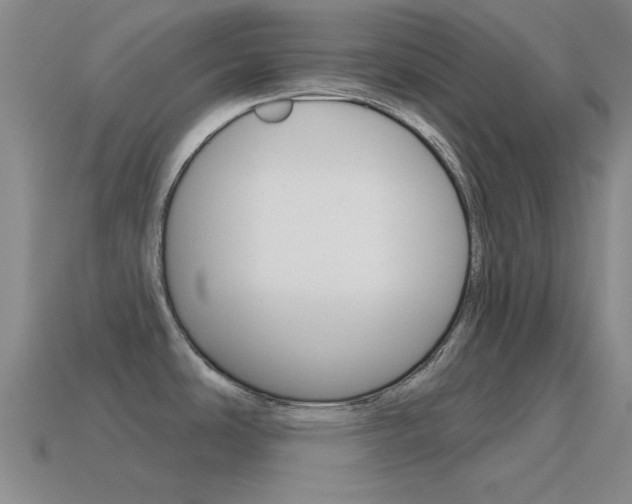 X0000115651486200911101106