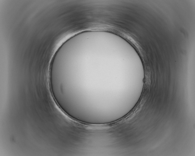 X0000115651487200911101106