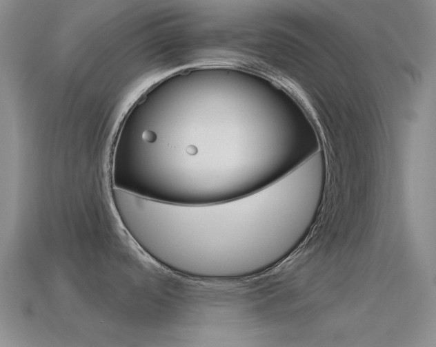 X0000115651488200911101106