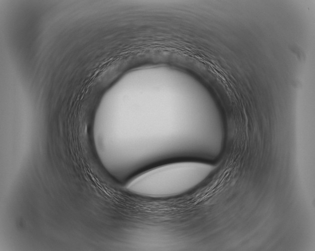 X0000115651489200911101105