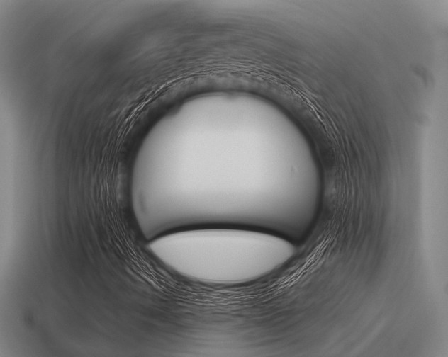 X0000115651490200911101106