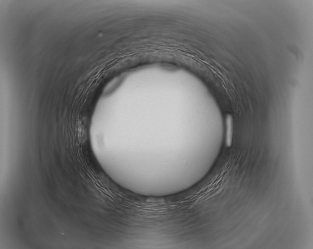 X0000115651491200911101106