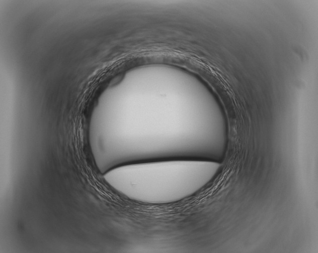 X0000115651493200911101106