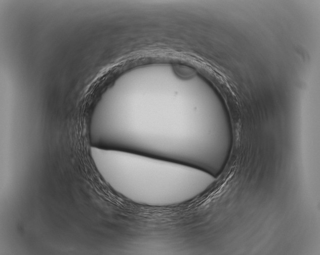 X0000115651494200911101106