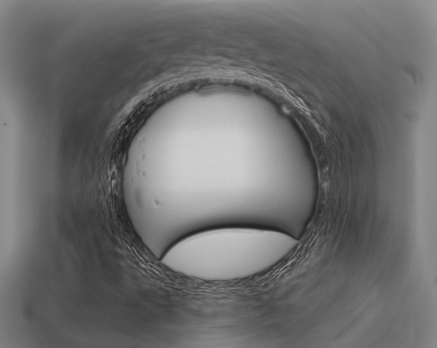 X0000115651495200911101106