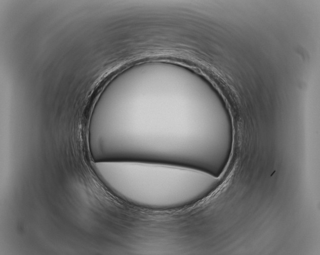 X0000115651497200911101106