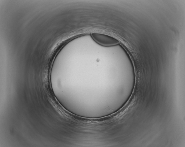 X0000115651499200911101106