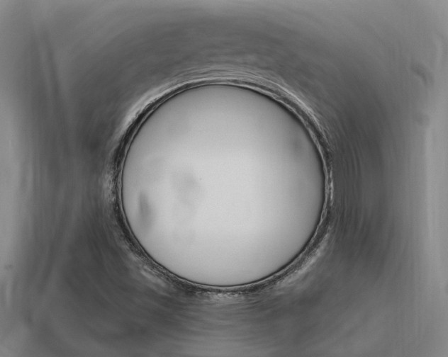 X0000115651501200911101106