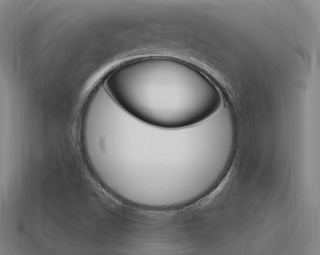 X0000115651502200911101106