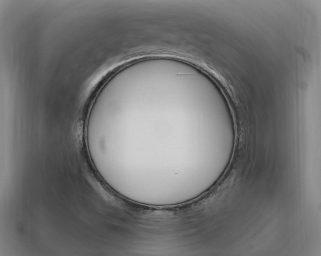 X0000115651503200911101106