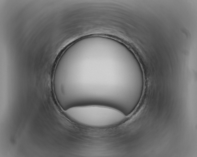 X0000115651505200911101106