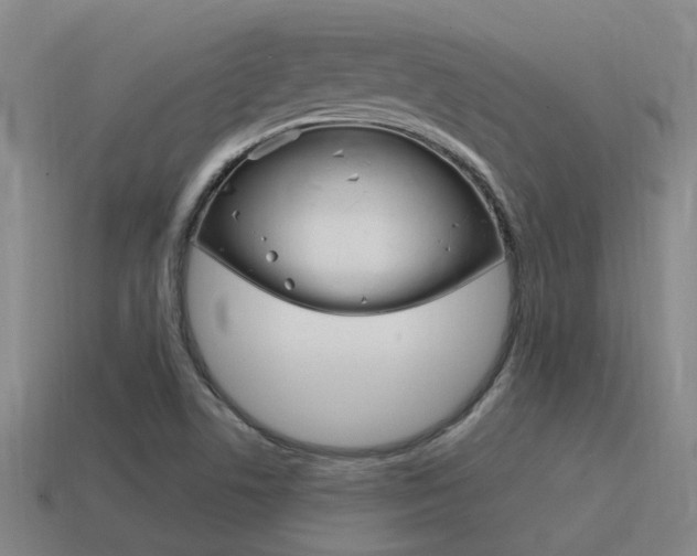 X0000115651506200911101106