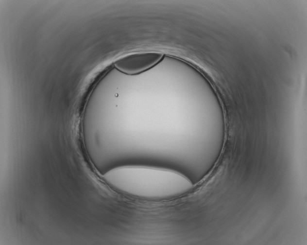 X0000115651507200911101106