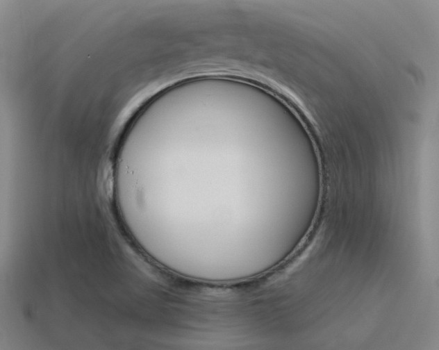 X0000115651509200911101106