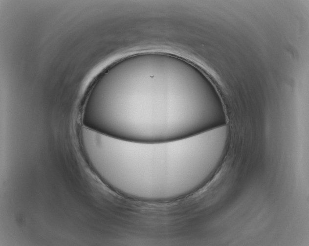 X0000115651510200911101106