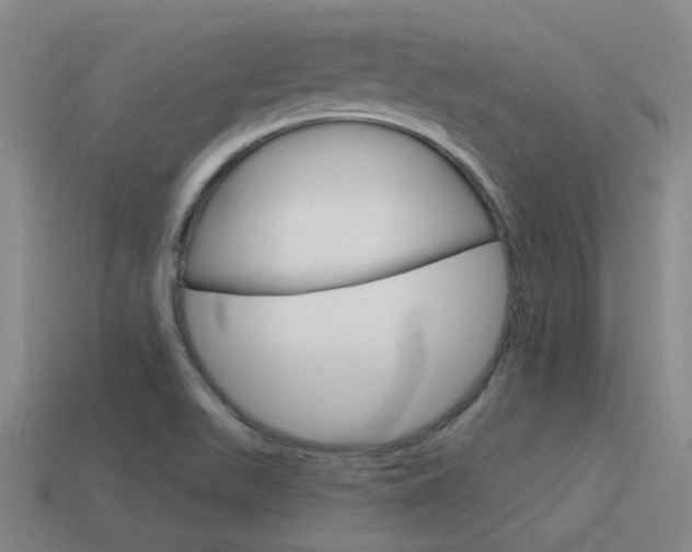 X0000115651511200911101106