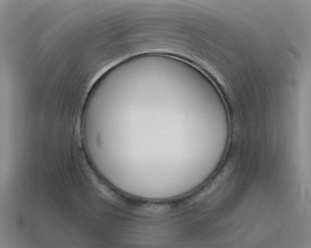 X0000115651513200911101106