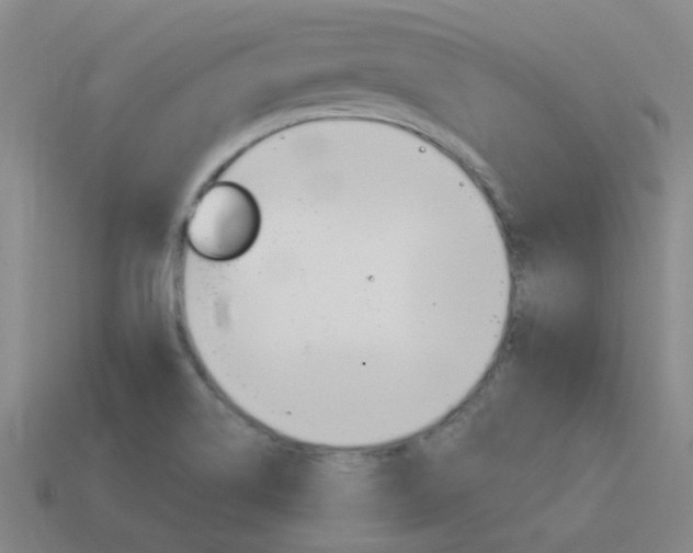 X0000115651514200911101106