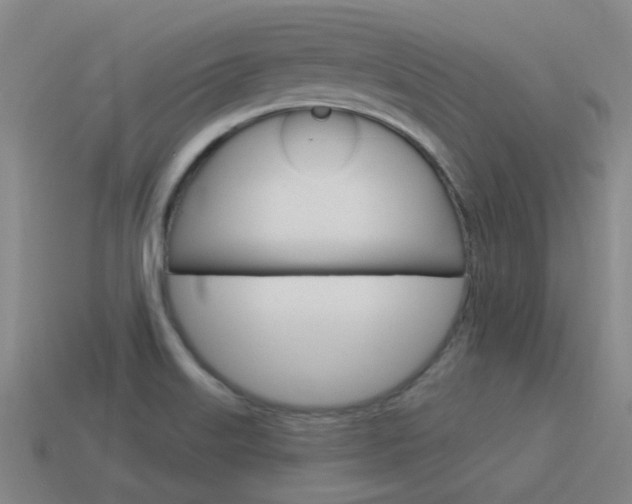 X0000115651515200911101106