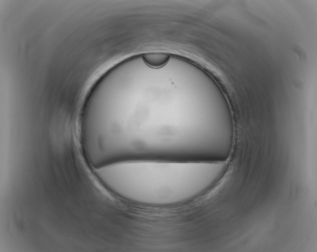 X0000115651517200911101106