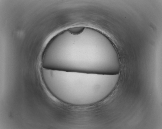 X0000115651519200911101106
