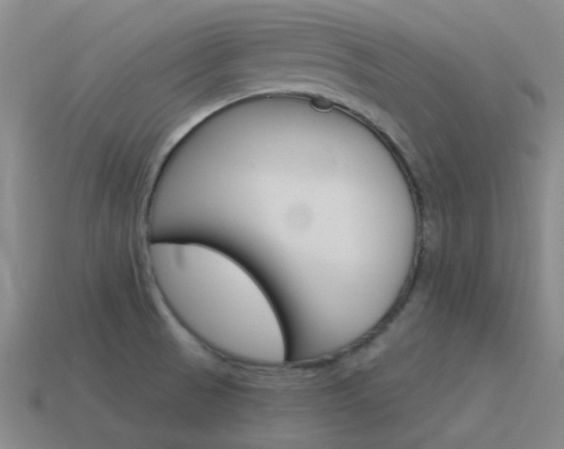 X0000115651521200911101106