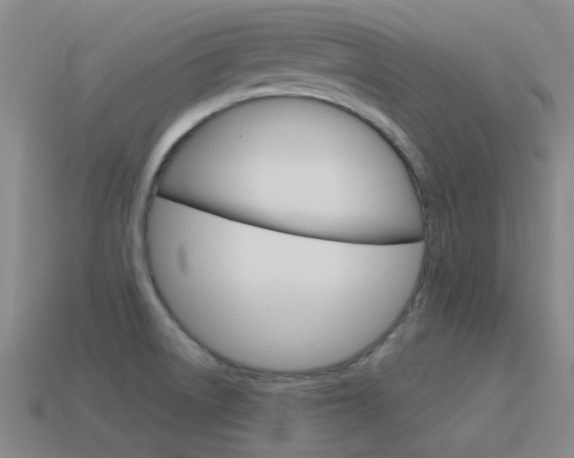 X0000115651522200911101106