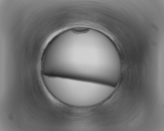 X0000115651523200911101106