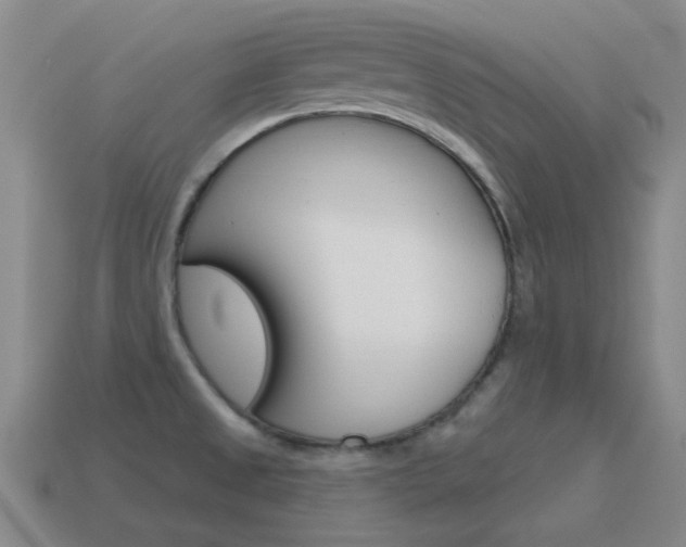 X0000115651525200911101106