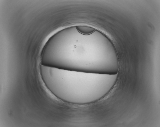 X0000115651526200911101106