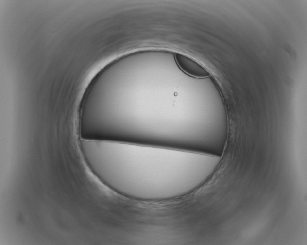 X0000115651527200911101106