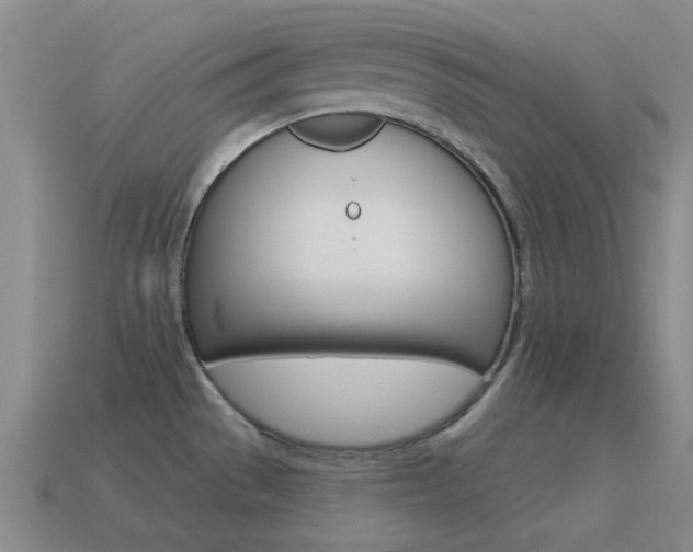 X0000115651529200911101106