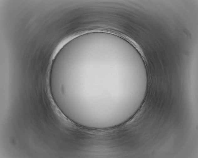 X0000115651530200911101106