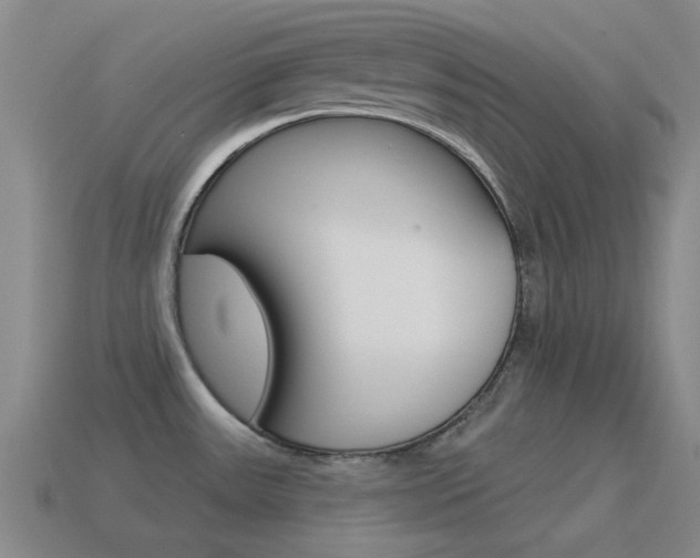 X0000115651531200911101106