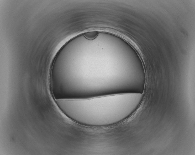 X0000115651533200911101106