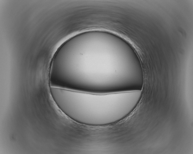 X0000115651534200911101106